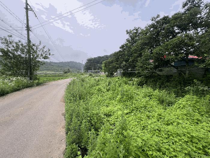 충청남도 당진시 송악읍 월곡리 241 전 경매 사진 10
