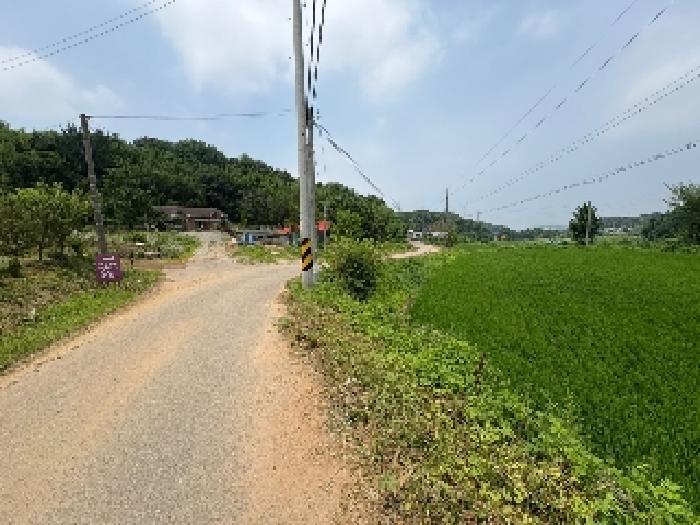 충청남도 당진시 송악읍 월곡리 241 전 경매 사진 17