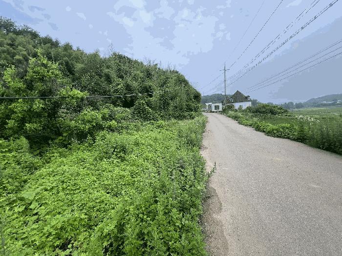 충청남도 당진시 송악읍 월곡리 241 전 경매 사진 2