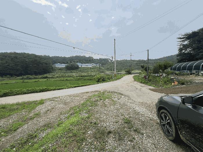 충청남도 당진시 송악읍 월곡리 241 전 경매 사진 7