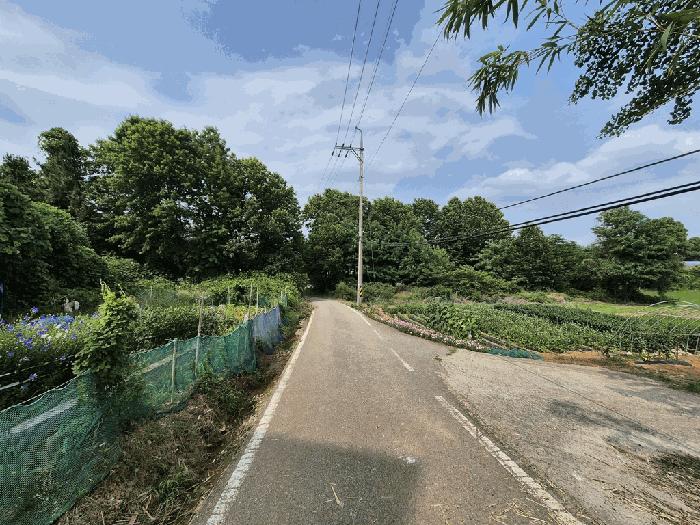 충청남도 당진시 송악읍 한진리 27-2 답 경매 사진 15