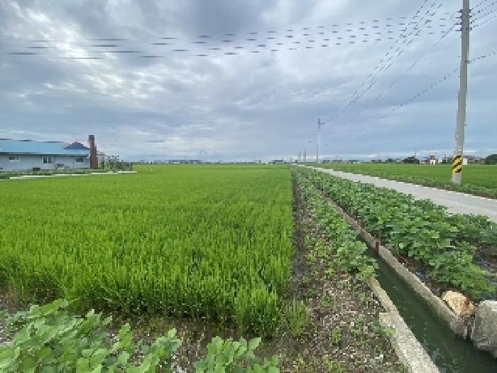 충청남도 당진시 우강면 신촌리 752-7 답 경매 사진 11