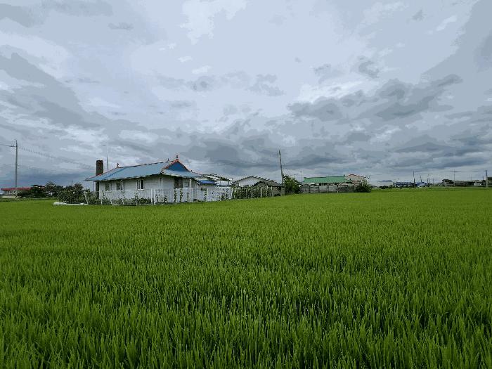 충청남도 당진시 우강면 신촌리 752-7 답 경매 사진 5