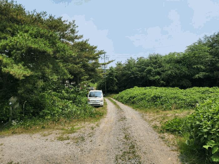충청남도 태안군 남면 신온리 660-59 임야 경매 사진 10