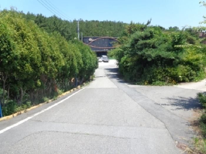 충청남도 태안군 남면 신온리 660-59 임야 경매 사진 12