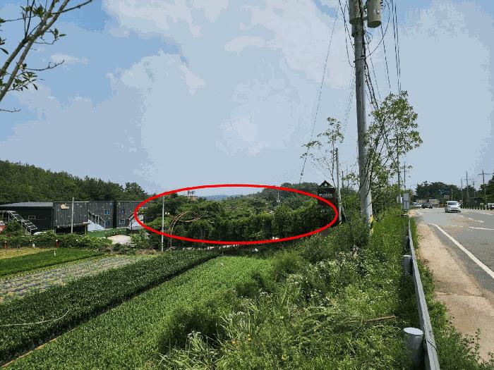 충청남도 태안군 남면 신온리 660-59 임야 경매 사진 2