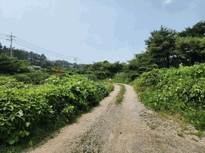 충청남도 태안군 남면 신온리 660-59 임야 경매 사진 4