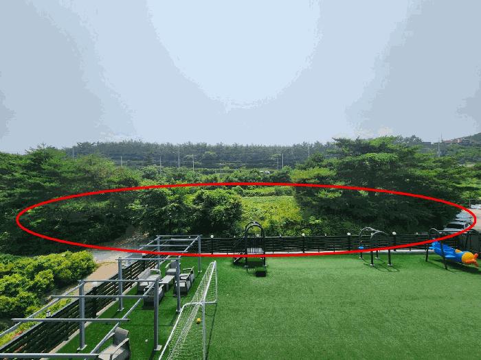 충청남도 태안군 남면 신온리 660-59 임야 경매 사진 5