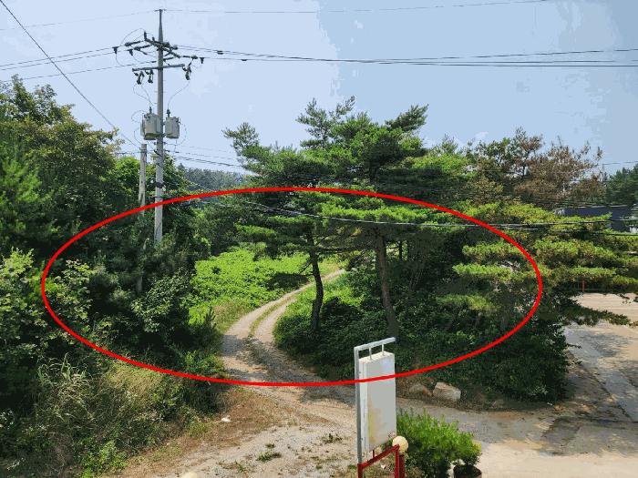 충청남도 태안군 남면 신온리 660-59 임야 경매 사진 7