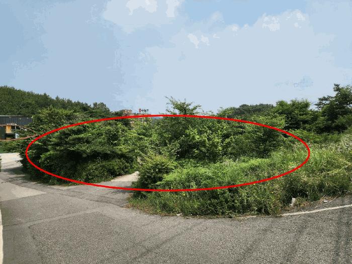 충청남도 태안군 남면 신온리 660-59 임야 경매 사진 9