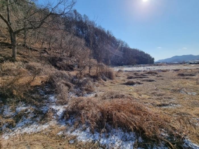 충청남도 금산군 금산읍 신대리 148-2 전 경매 사진 18