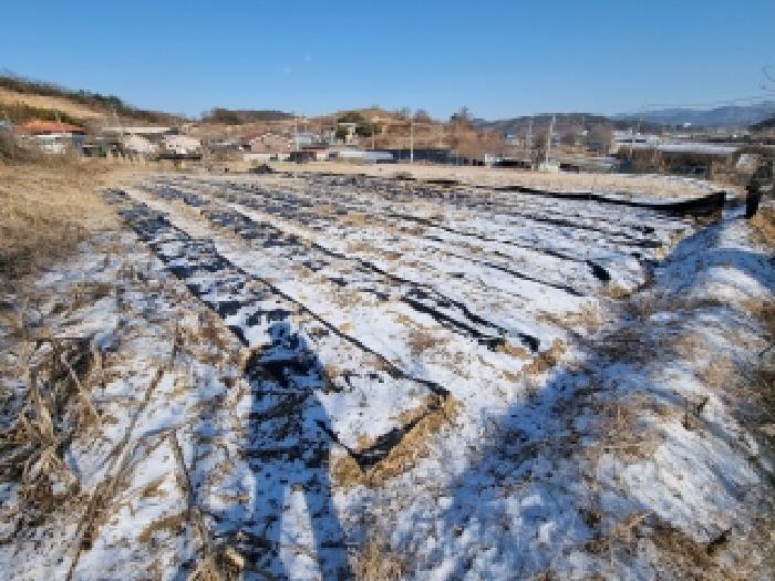 충청남도 금산군 주택