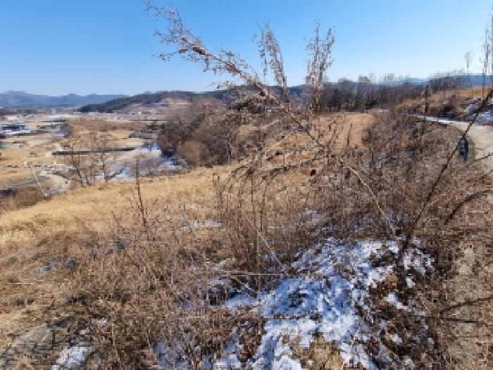충청남도 금산군 금산읍 신대리 178-1 주택 경매 사진 13