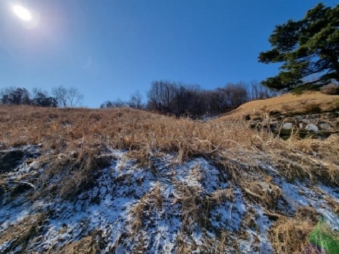 충청남도 금산군 금산읍 신대리 178-1 주택 경매 사진 14