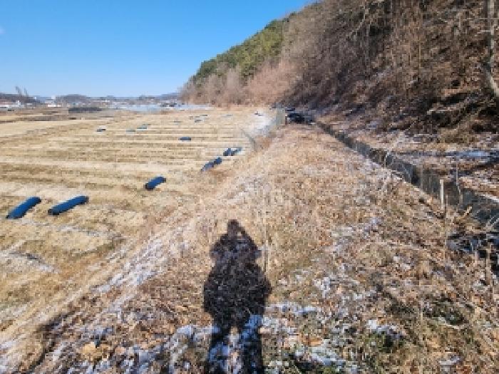 충청남도 금산군 금산읍 신대리 178-1 주택 경매 사진 16