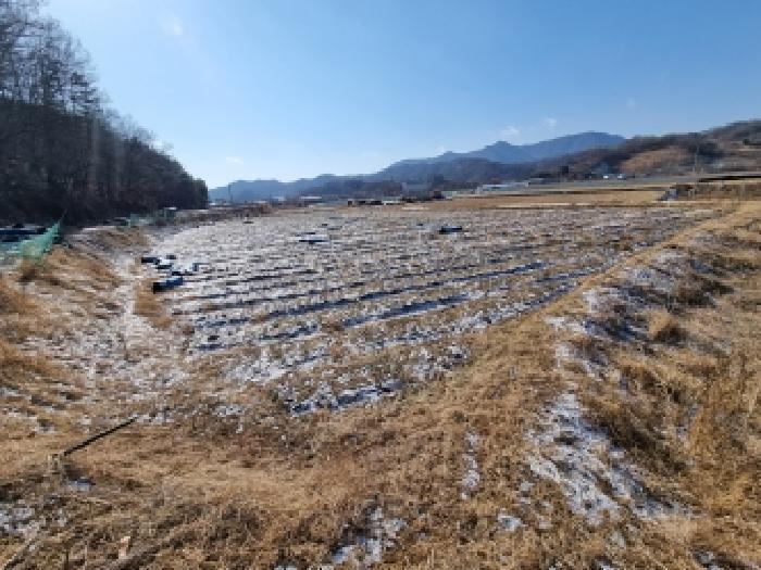충청남도 금산군 금산읍 신대리 178-1 주택 경매 사진 19