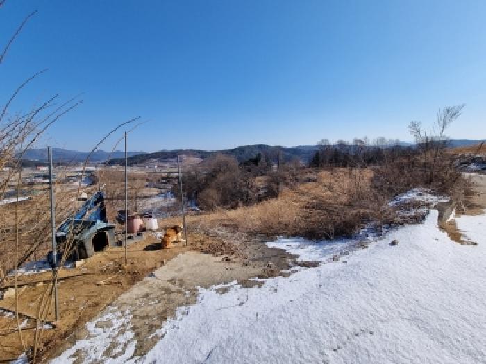 충청남도 금산군 남일면 황풍리 124-28 답 경매 사진 11
