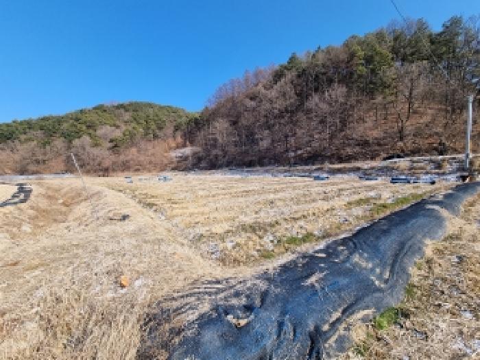 충청남도 금산군 남일면 황풍리 124-28 답 경매 사진 17