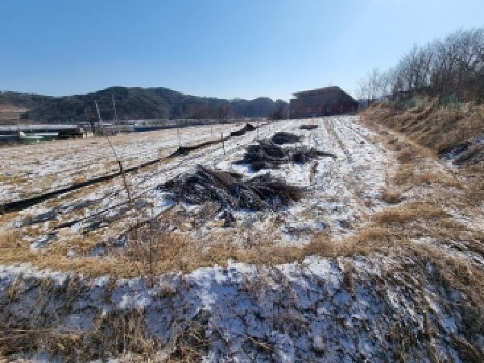 충청남도 금산군 남일면 황풍리 124-28 답 경매 사진 3