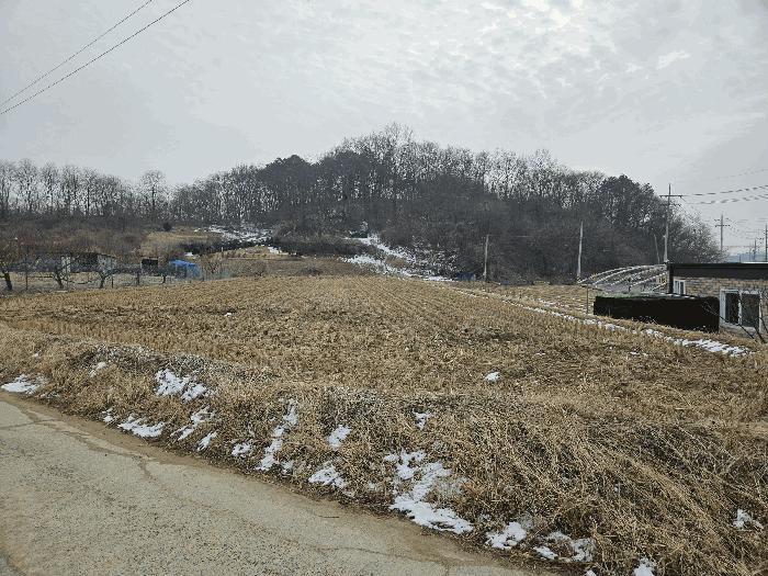 충청남도 금산군 답