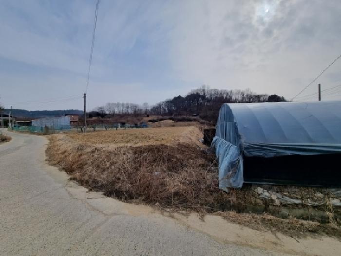 충청남도 금산군 금성면 두곡리 339-1 답 경매 사진 10