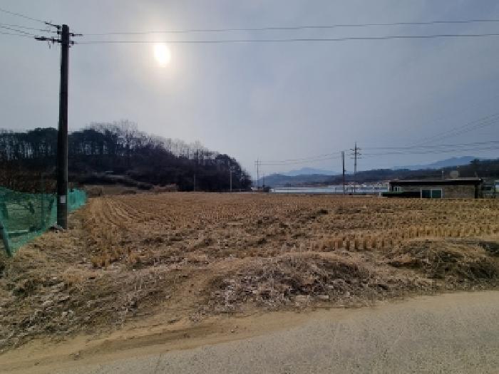 충청남도 금산군 금성면 두곡리 339-1 답 경매 사진 11