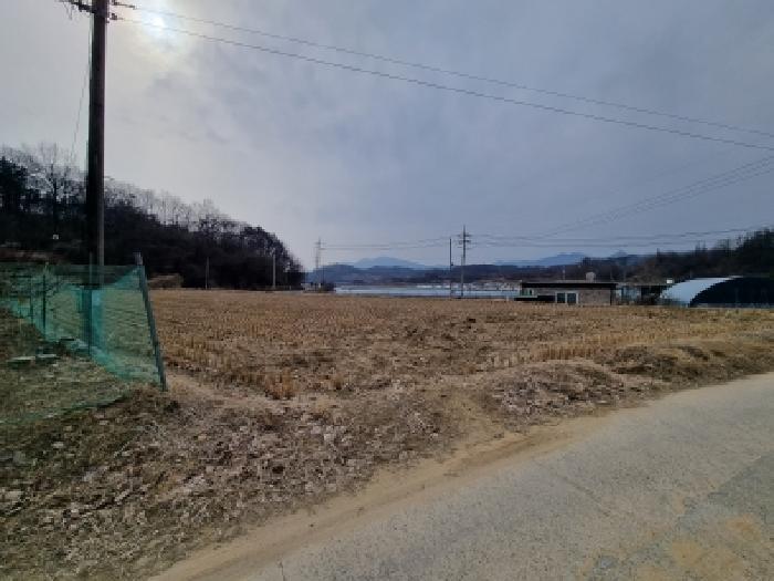 충청남도 금산군 금성면 두곡리 339-1 답 경매 사진 12