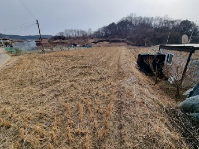 충청남도 금산군 금성면 두곡리 339-1 답 경매 사진 13