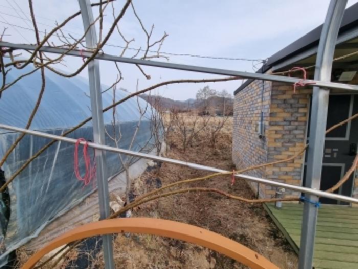 충청남도 금산군 금성면 두곡리 339-1 답 경매 사진 14