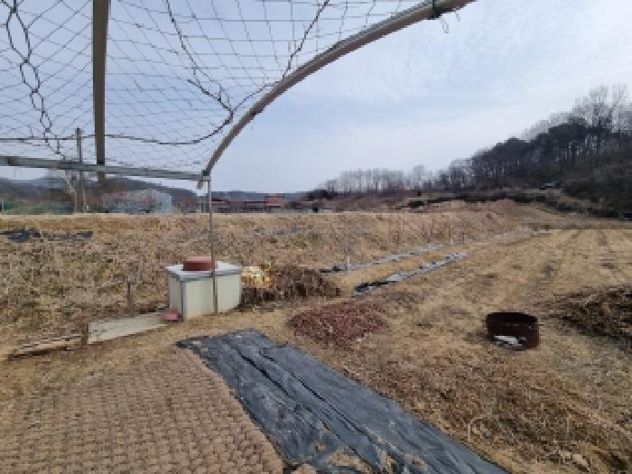 충청남도 금산군 금성면 두곡리 339-1 답 경매 사진 15