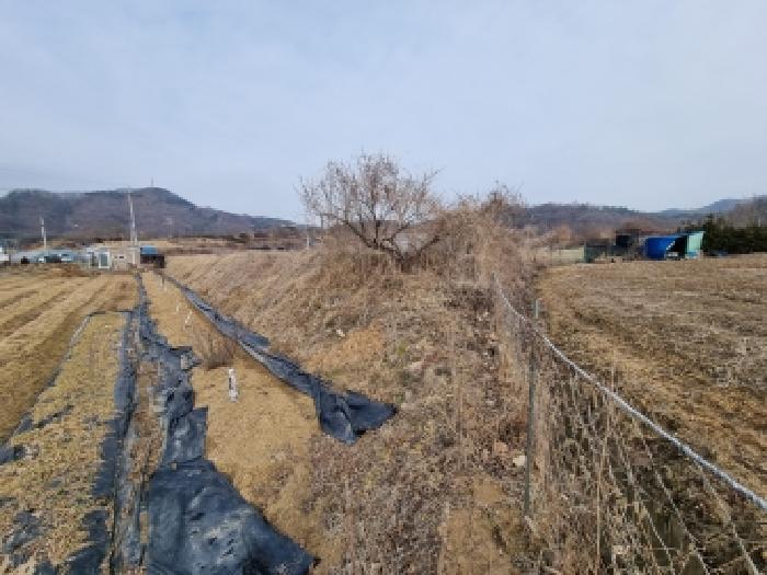충청남도 금산군 금성면 두곡리 339-1 답 경매 사진 16