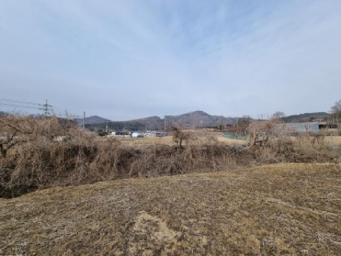 충청남도 금산군 금성면 두곡리 339-1 답 경매 사진 18