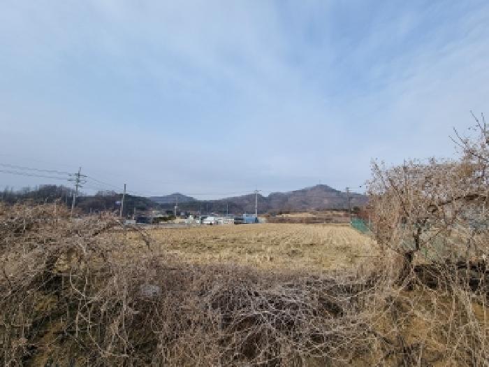 충청남도 금산군 금성면 두곡리 339-1 답 경매 사진 19