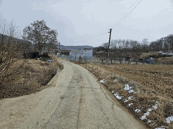 충청남도 금산군 금성면 두곡리 339-1 답 경매 사진 2