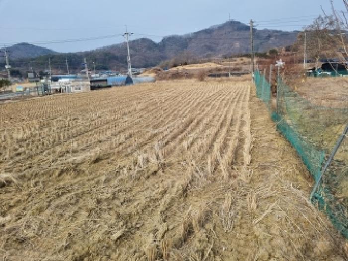 충청남도 금산군 금성면 두곡리 339-1 답 경매 사진 20