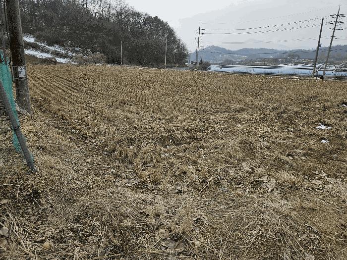 충청남도 금산군 금성면 두곡리 339-1 답 경매 사진 4