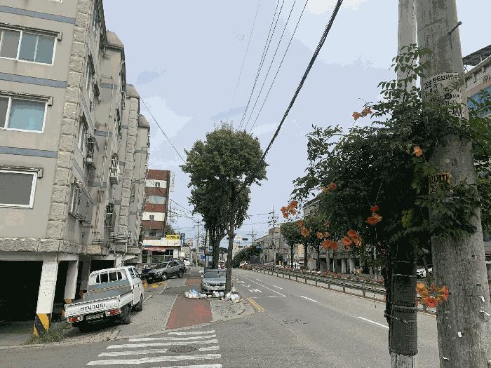 경기도 부천시 오정구 고강동 338-32 2층203호 다세대(빌라) 경매 사진 4