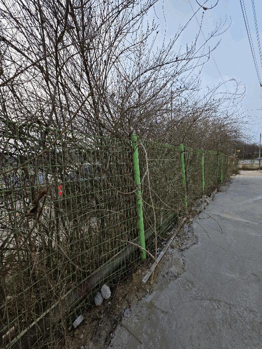 인천광역시 강화군 불은면 신현리 30-8 노유자시설 경매 사진 2