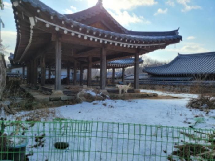 경기도 김포시 대곶면 신안리 109-2 임야 경매 사진 20
