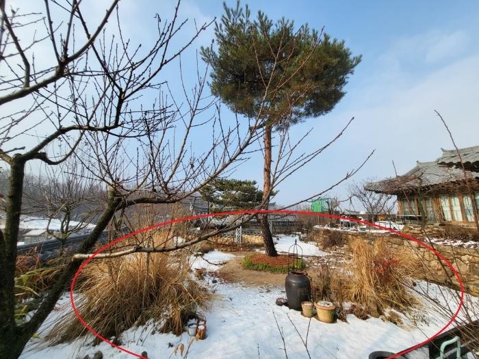 경기도 김포시 대곶면 신안리 109-2 임야 경매 사진 5