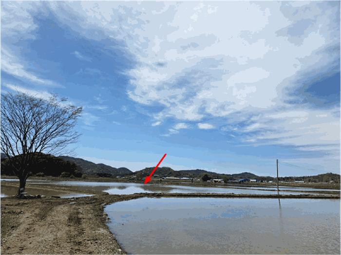 강원특별자치도 철원군 동송읍 대위리 439 답 경매 사진 3
