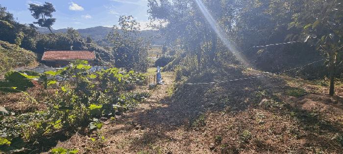 충청북도 청주시 상당구 문의면 노현리 621 대지 경매 사진 2
