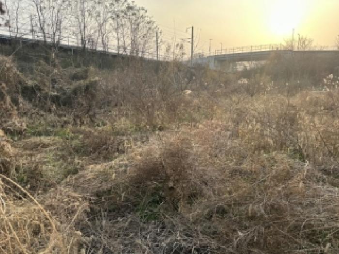 충청북도 증평군 증평읍 초중리 344-1 답 경매 사진 2