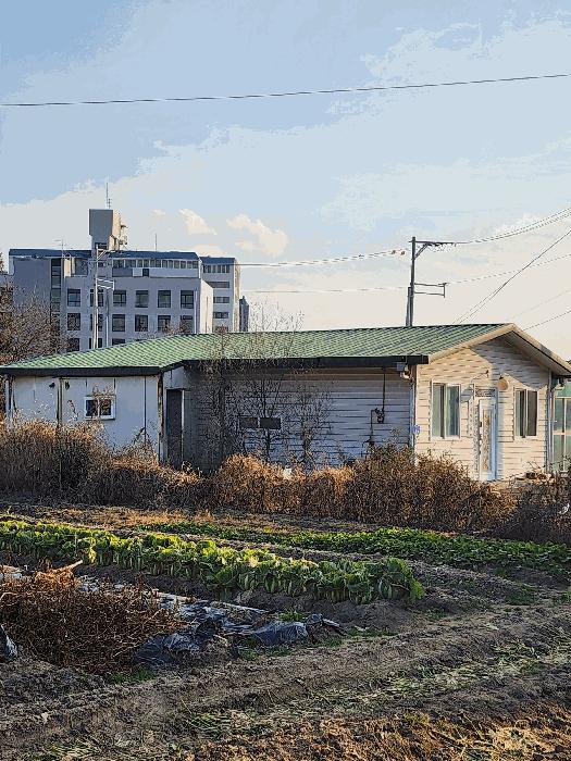 충청북도 청주시 흥덕구 강내면 월탄리 100-2 주택 경매 사진 11