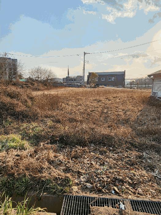 충청북도 청주시 흥덕구 강내면 월탄리 100-2 주택 경매 사진 12
