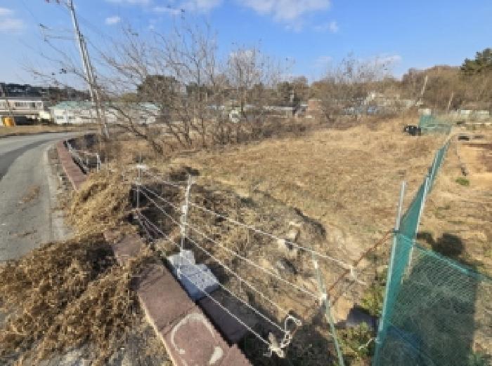 충청북도 청주시 흥덕구 강내면 월탄리 100-2 주택 경매 사진 19