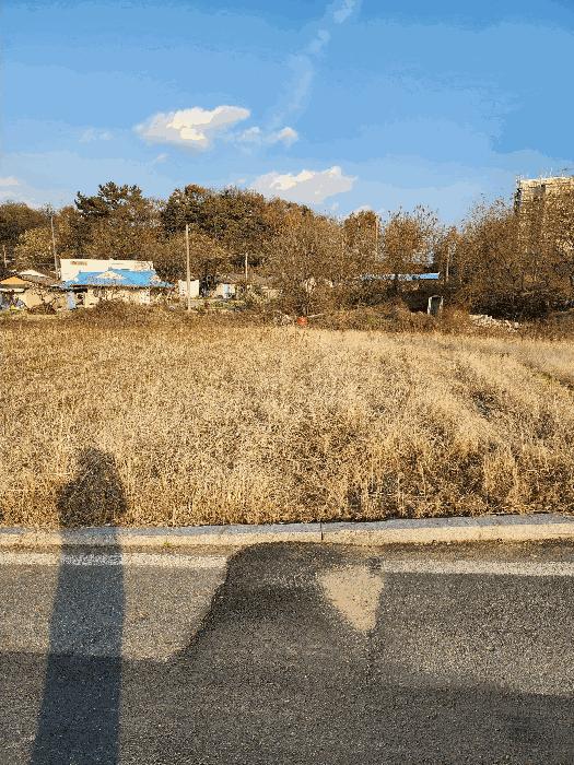 충청북도 청주시 흥덕구 강내면 월탄리 100-2 주택 경매 사진 3