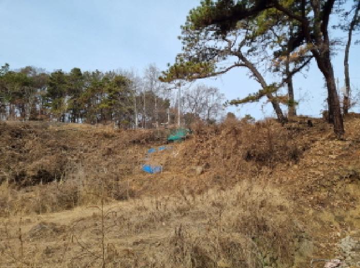 대전광역시 중구 석교동 248-43 임야 경매 사진 10