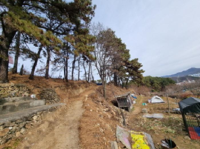 대전광역시 중구 석교동 248-43 임야 경매 사진 11