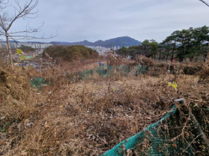 대전광역시 중구 석교동 248-43 임야 경매 사진 14